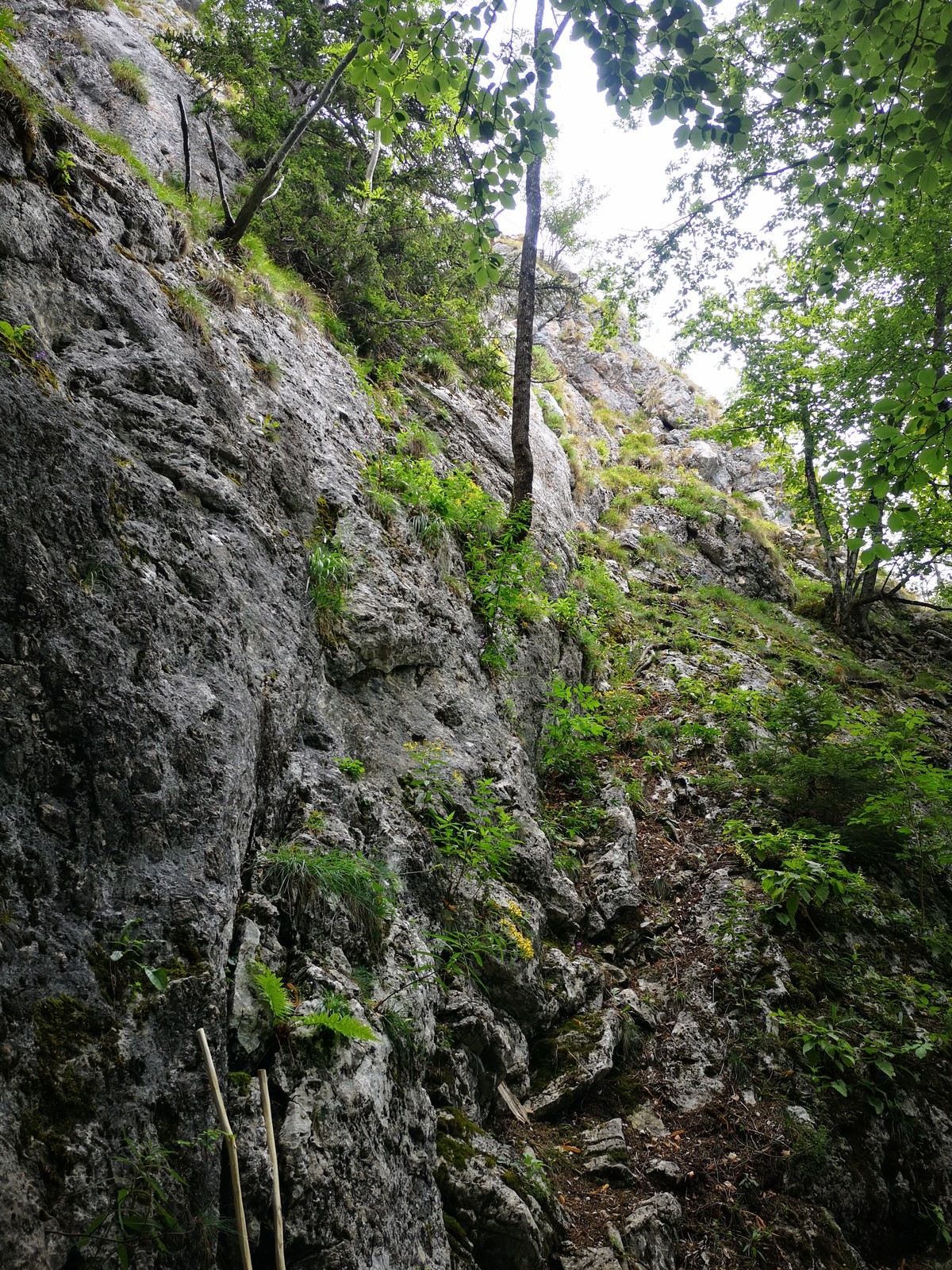 Triple A (4) Začiatok cesty