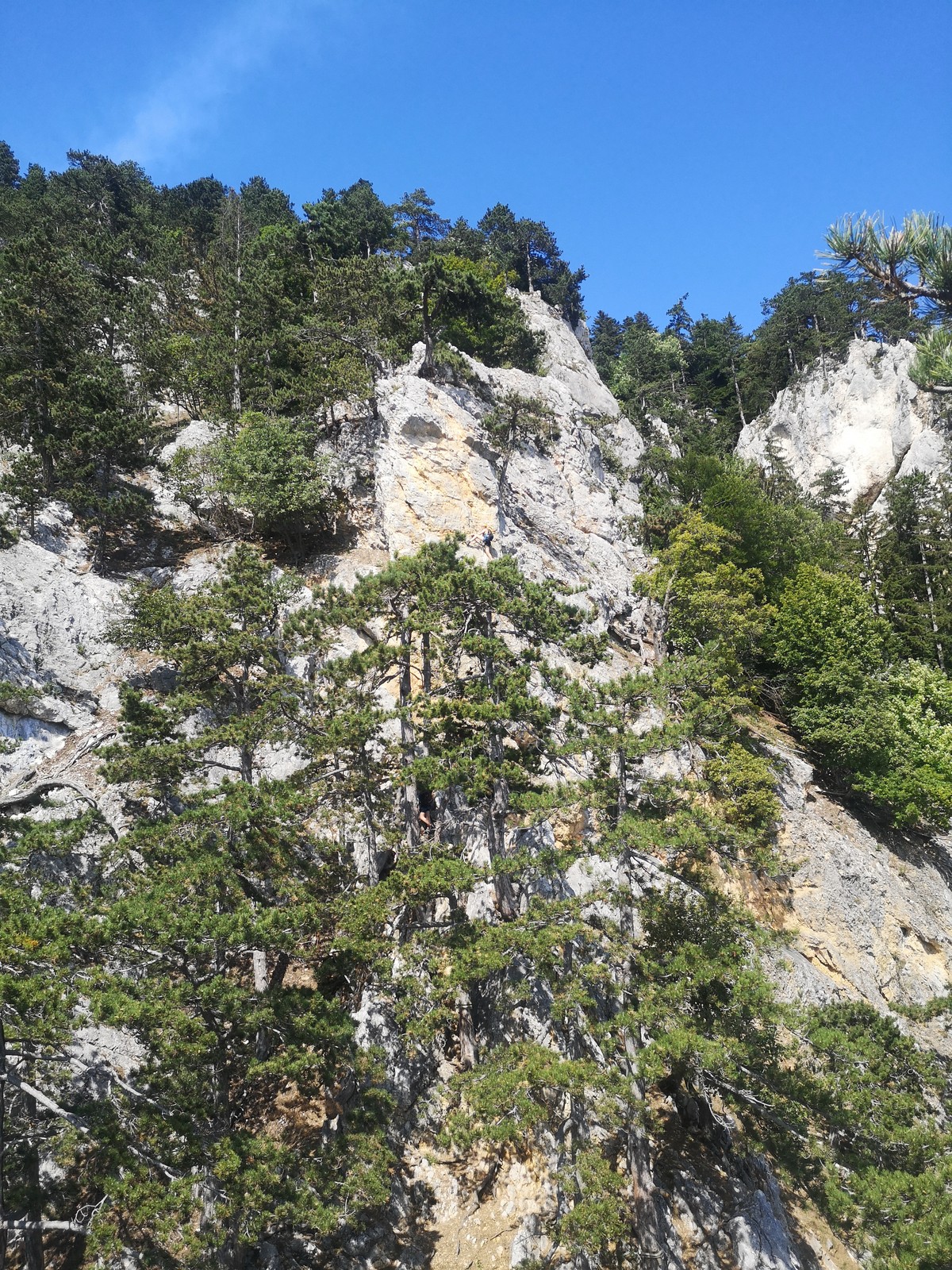 Gebirgsverein (10)