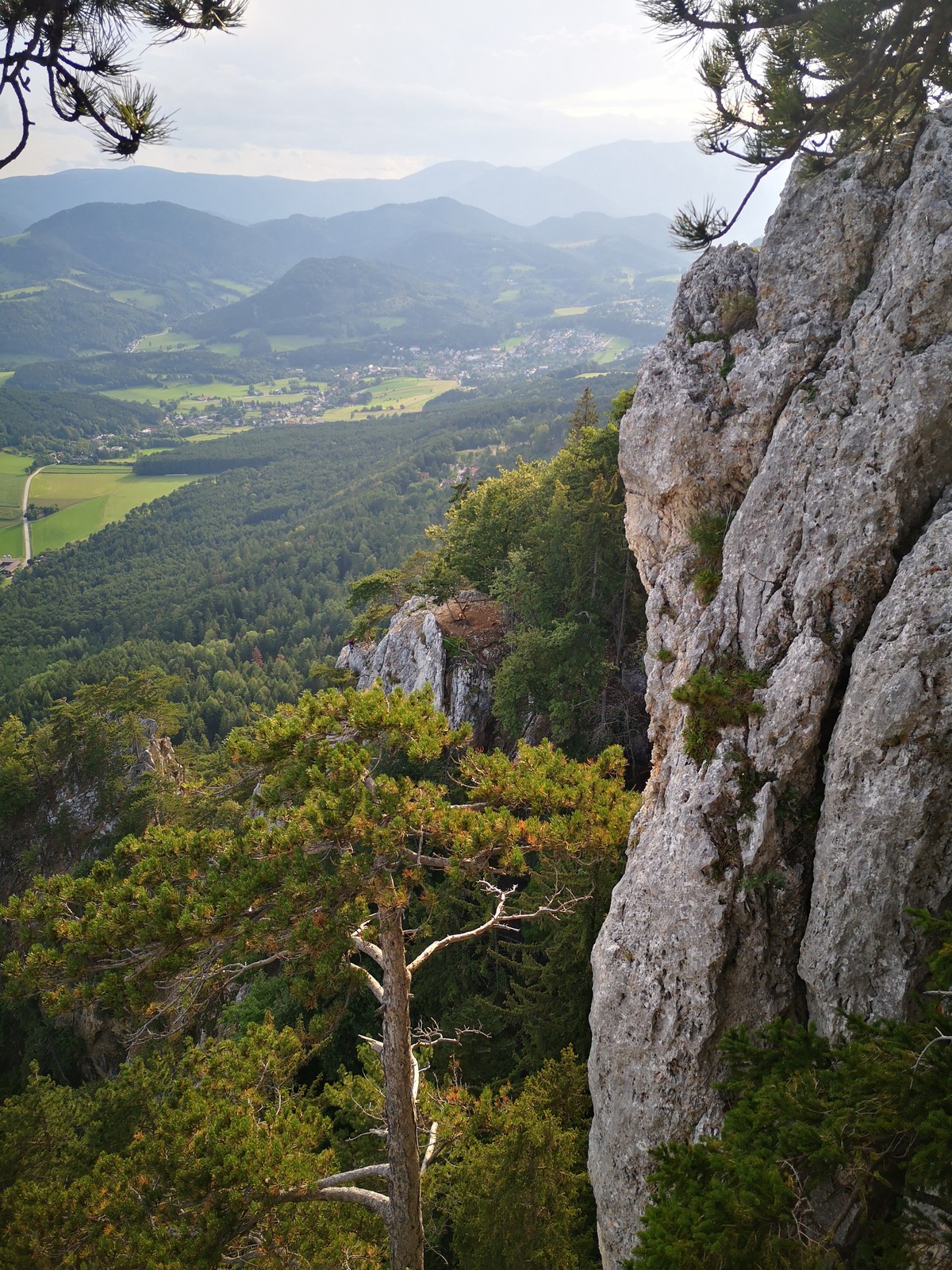 Wildenauersteig (16)