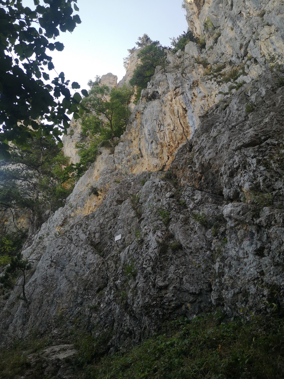 Wildenauersteig (3) začiatok