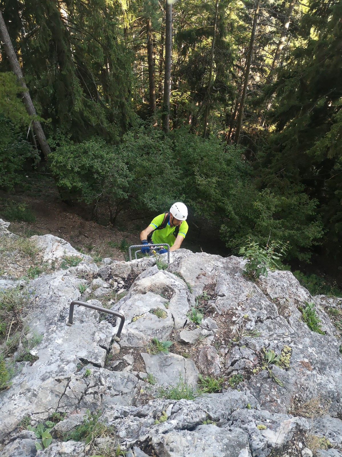 Wildenauersteig (4)