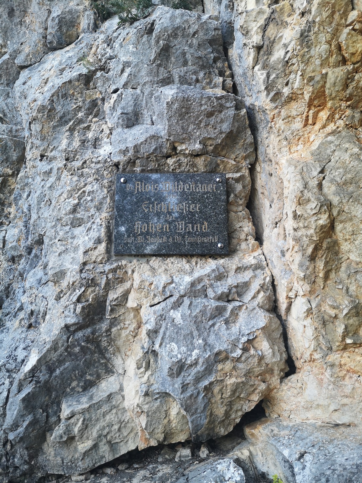 Wildenauersteig (7)