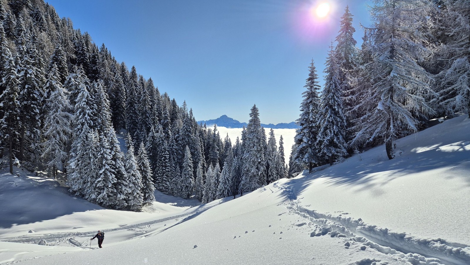 Sedlo Forcella di Fontana Fredda medzo Cima Bella a Monte Sagran