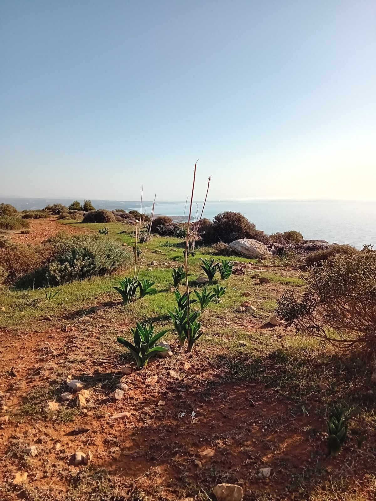 Cyprus Cape Aspro Trail 05
