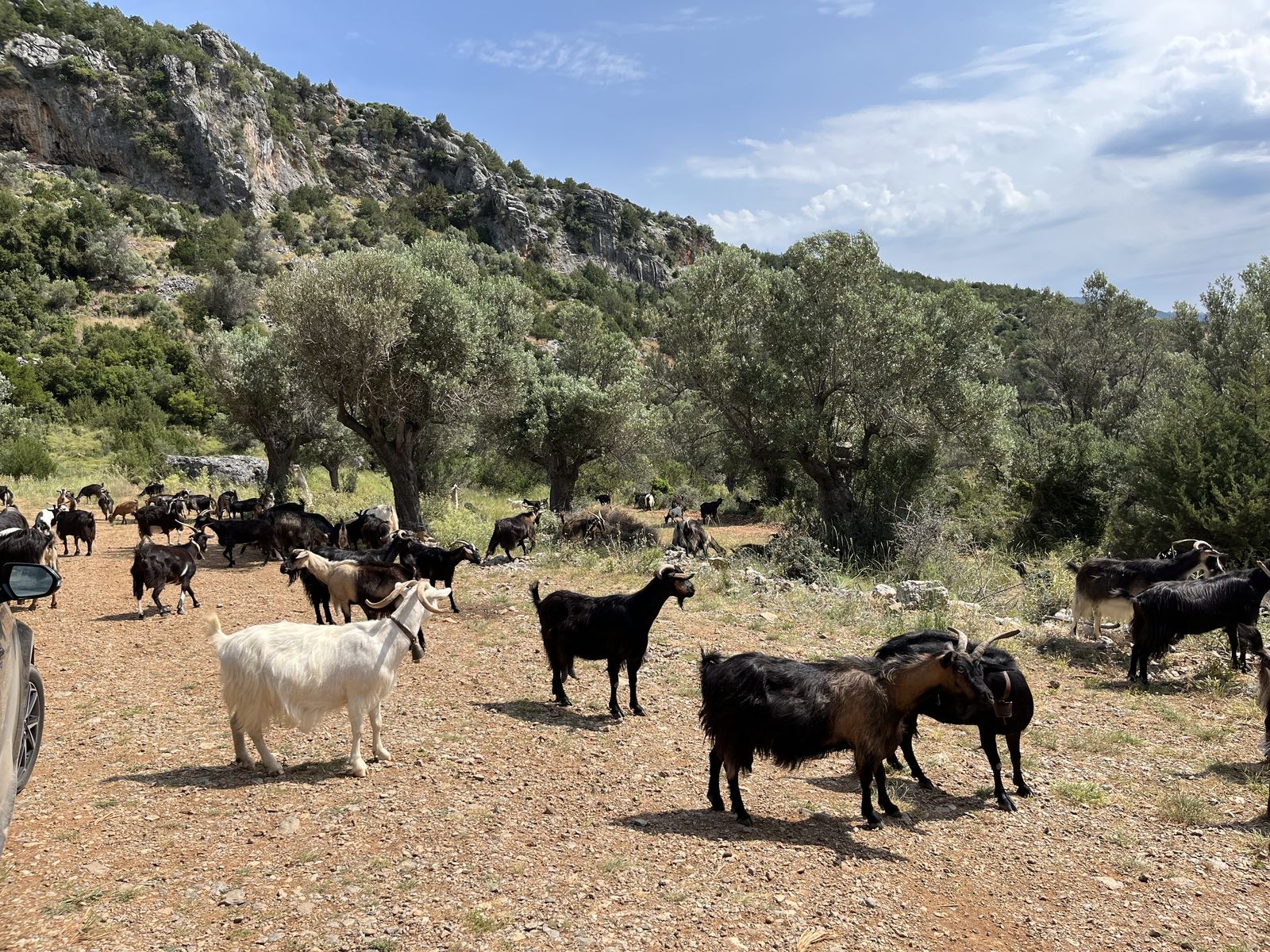 Neúnavné strážkyne sektorov Ale nakoniec vždy láskavo dovolia zaparkovať
