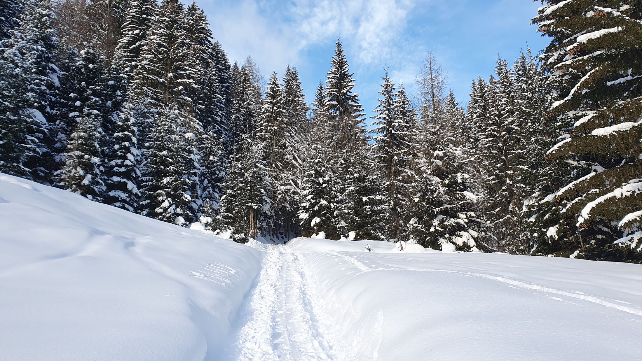 Ski touring Ugovizza, Monte Cocco (05)