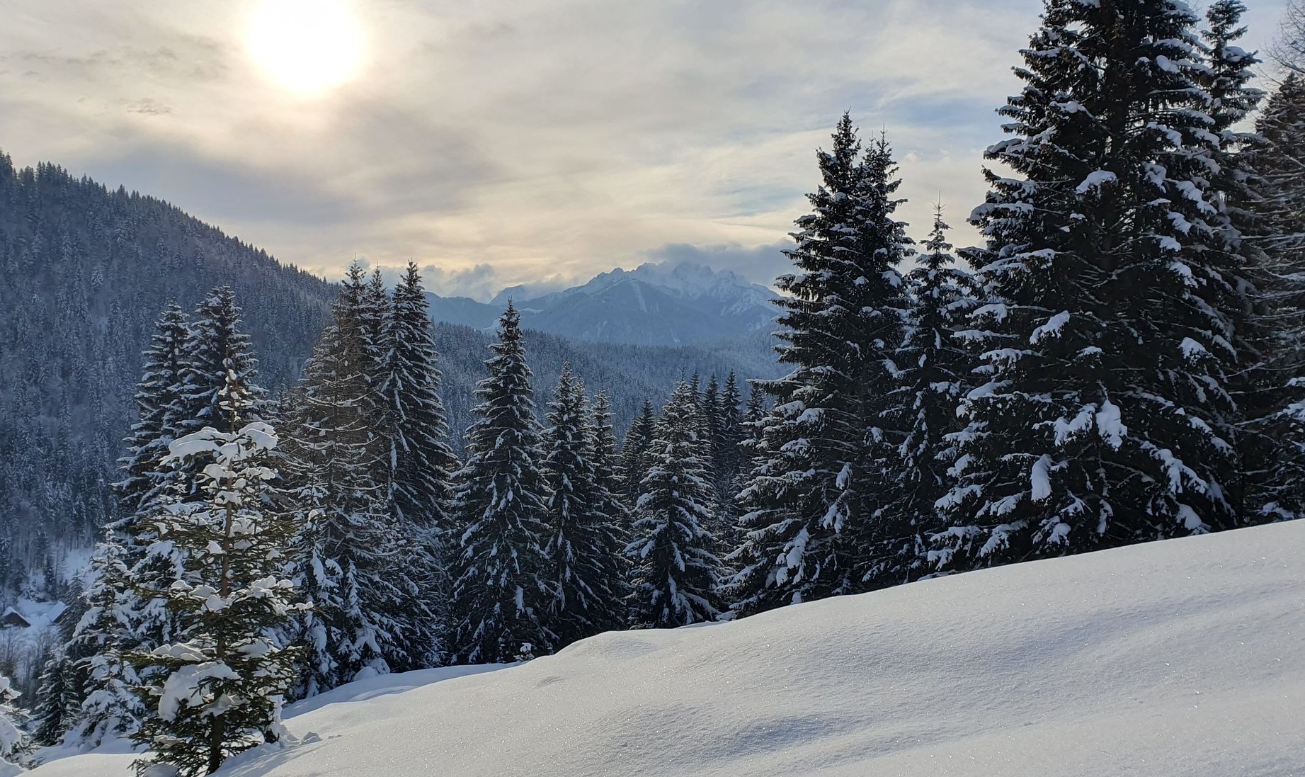 Ski touring Ugovizza, Monte Cocco (07)