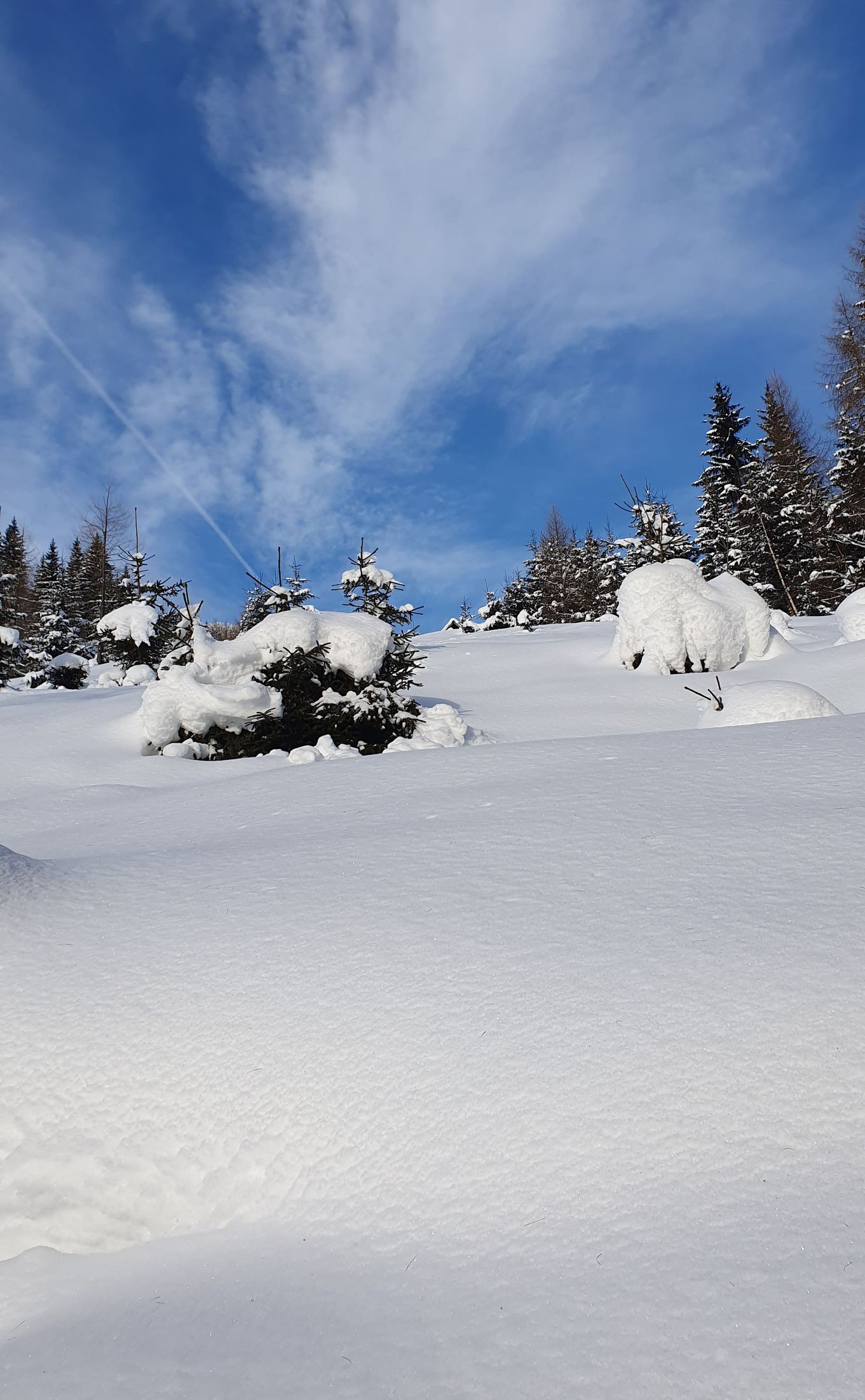 Ski touring Ugovizza, Monte Cocco (08)