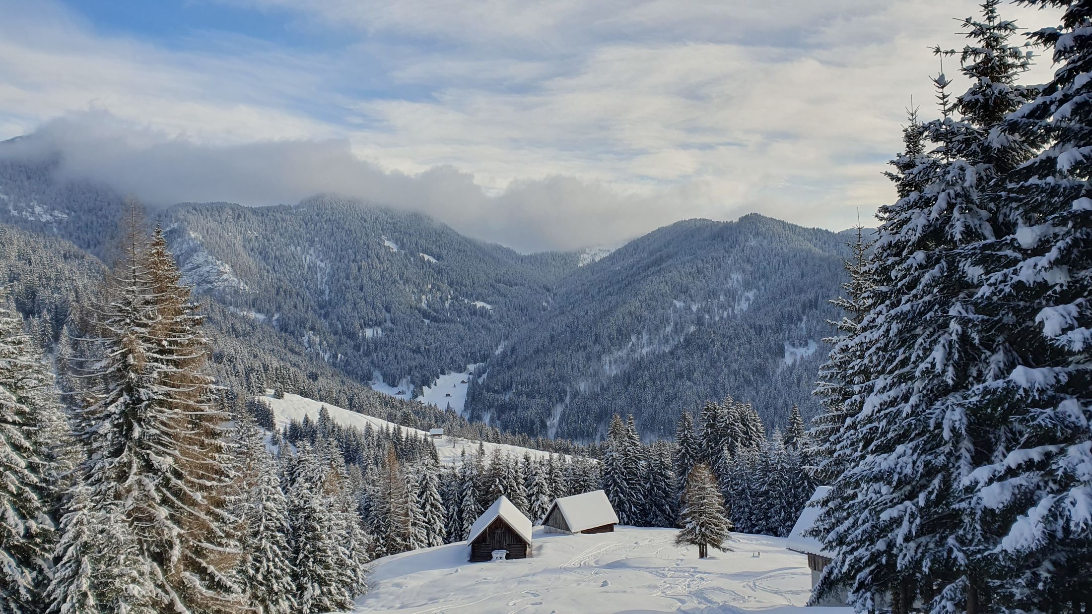 Ski touring Ugovizza, Monte Cocco (11)