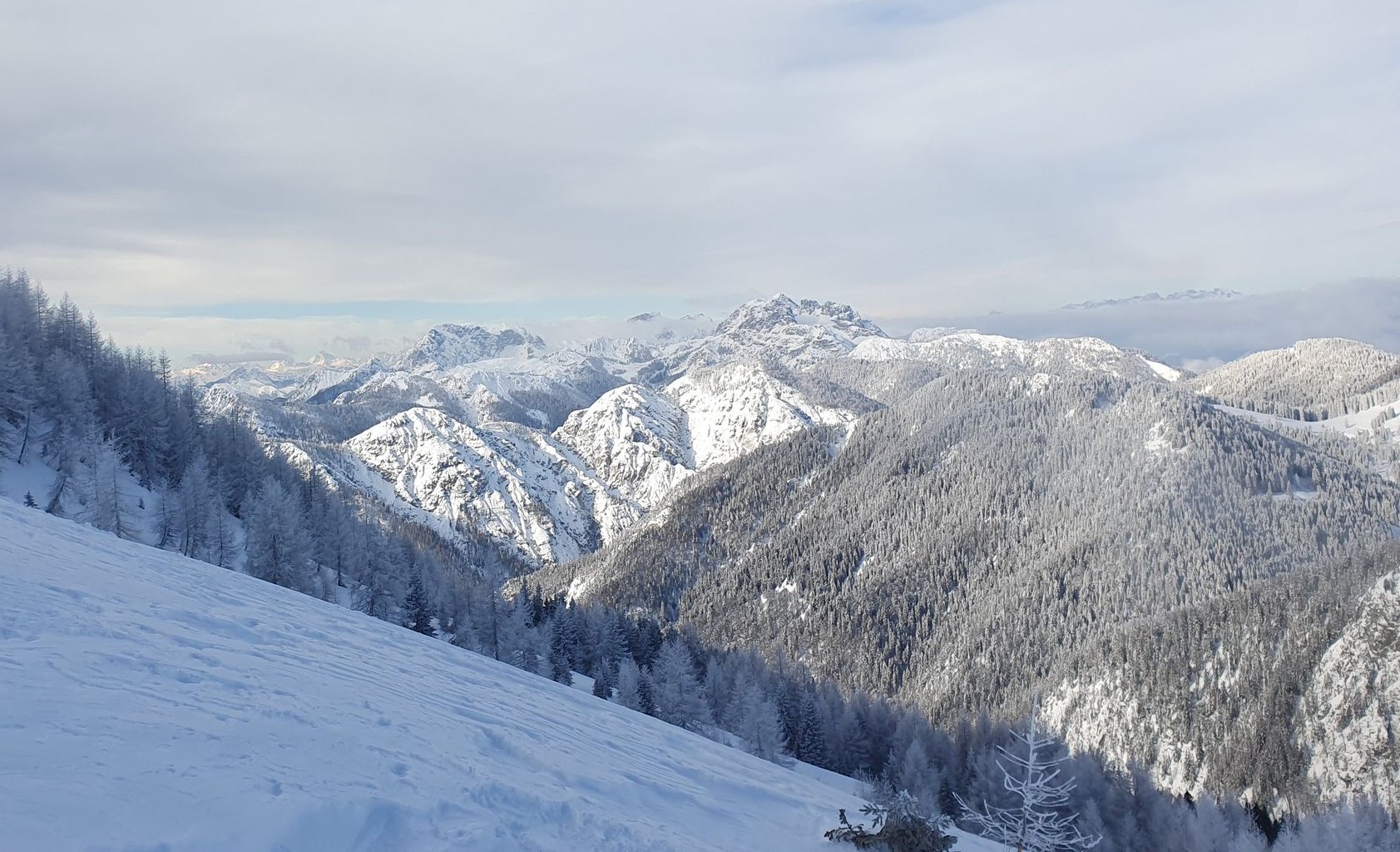Ski touring Ugovizza, Monte Cocco (19)
