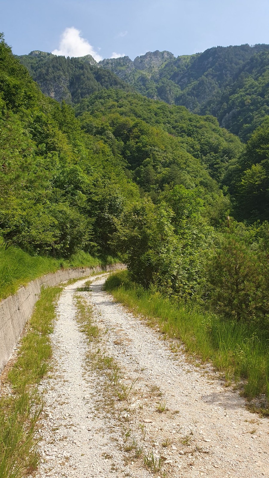 Val Venzonassa (10)