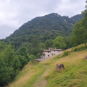 Val Venzonassa (17)