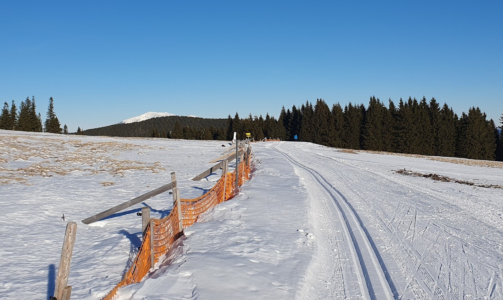Wechsel Panoramaloipe (01)