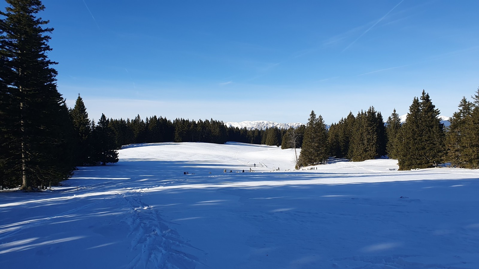 Wechsel Panoramaloipe (11)