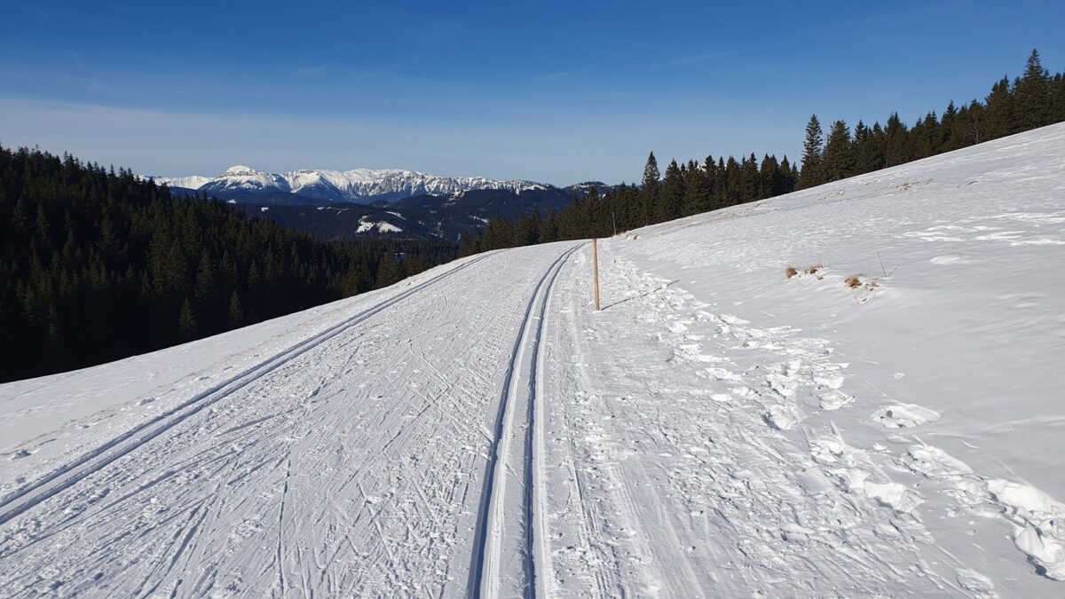 Wechsel Panoramaloipe (13)