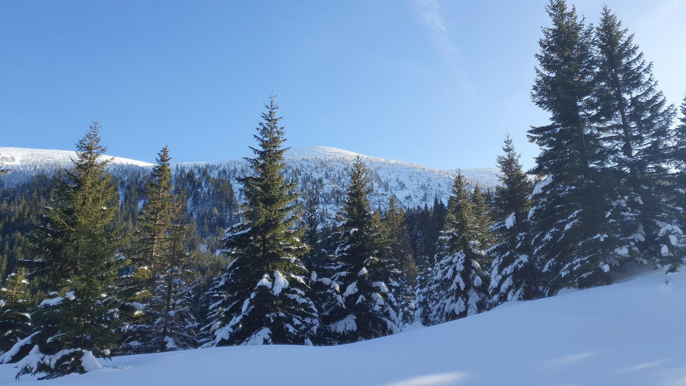 Schneeberg cez Wurzengraben (04)