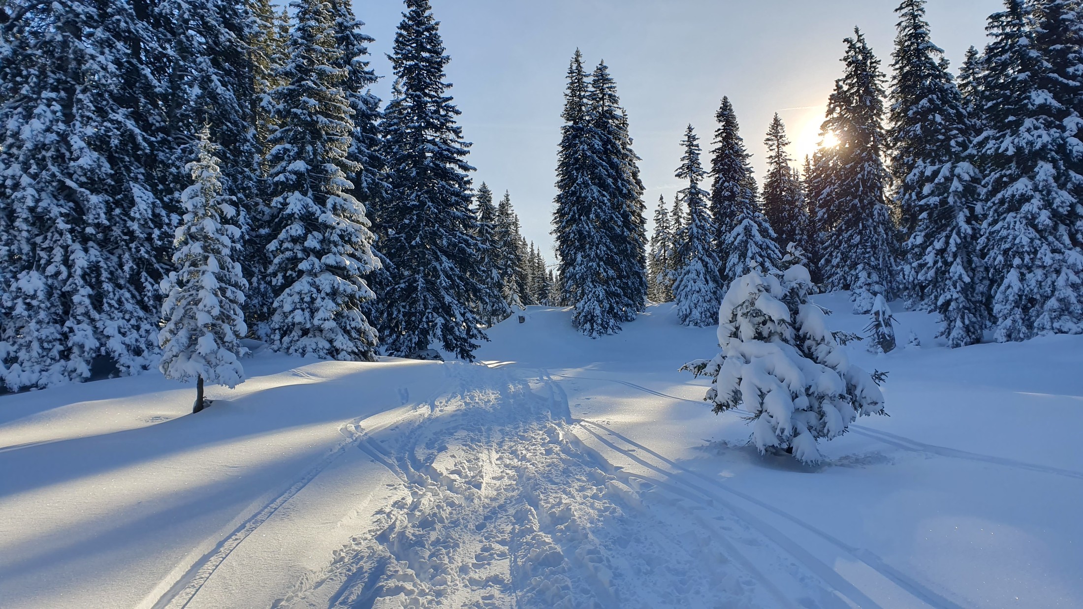 Schneeberg cez Wurzengraben (06)