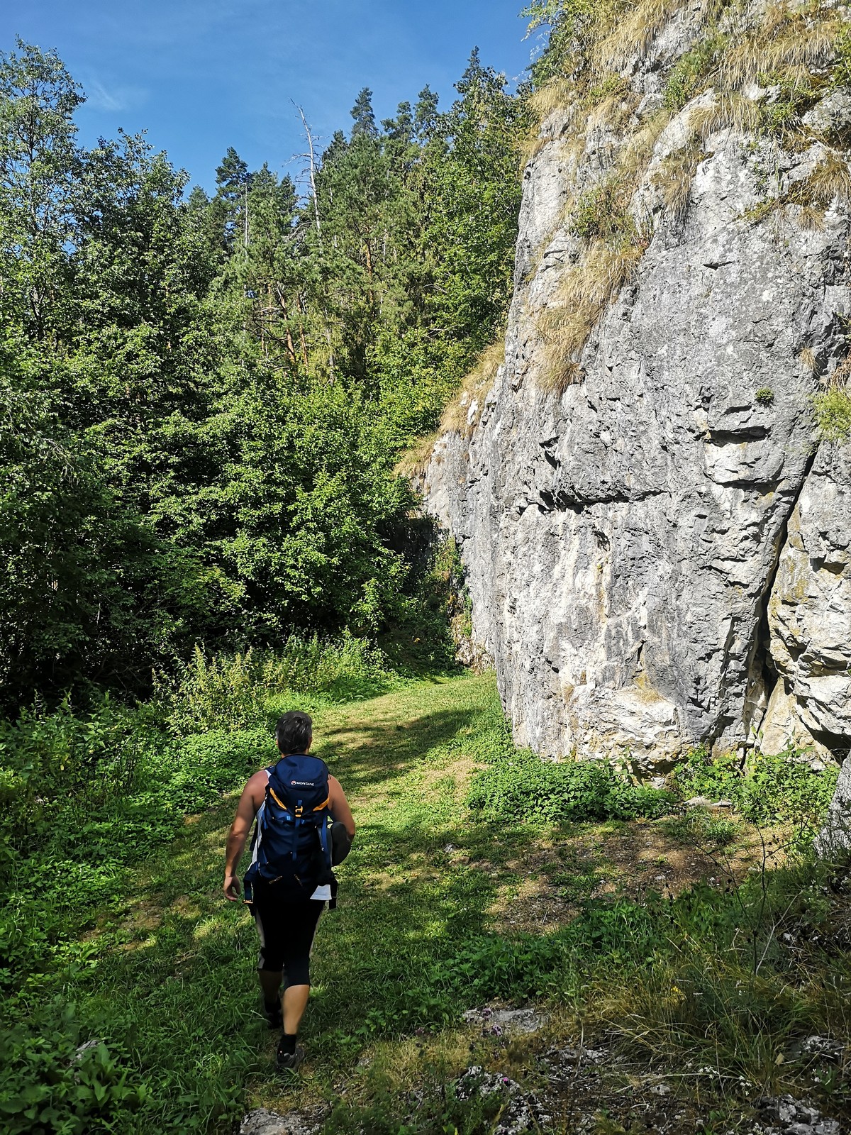 Hrdlo Hornádu (03) trávnik pod skalkou