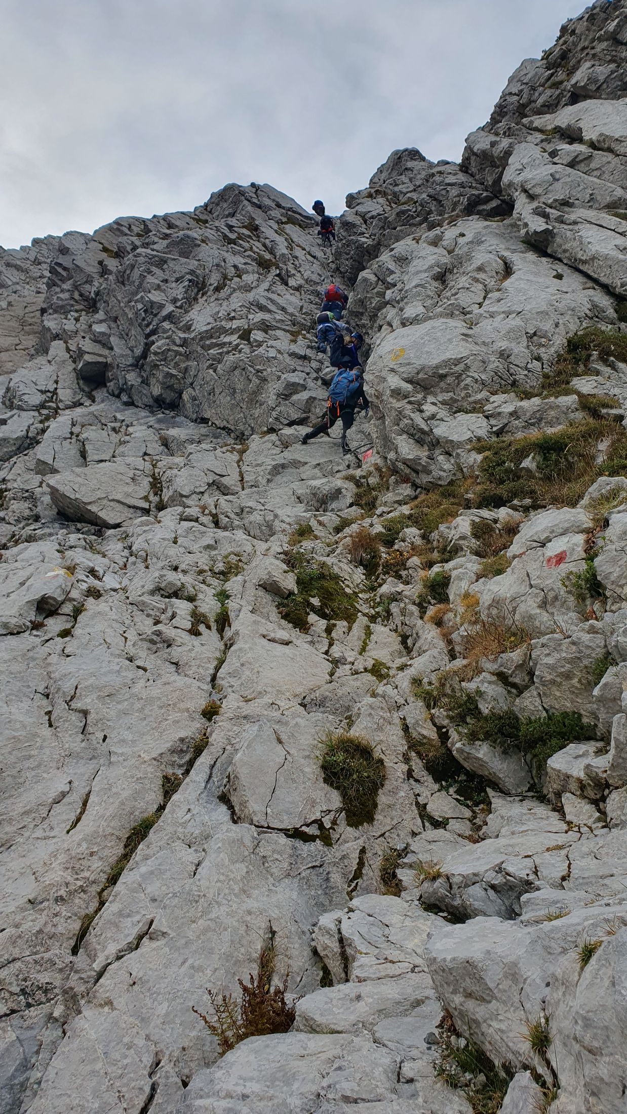 Monte Zermula a Zuc della Guardia (06)