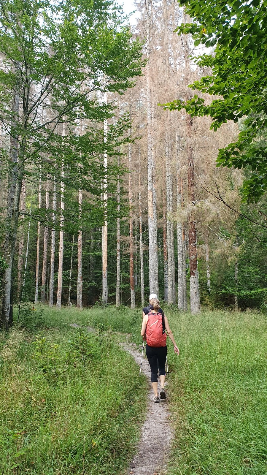 Cima del Cacciatore (05)