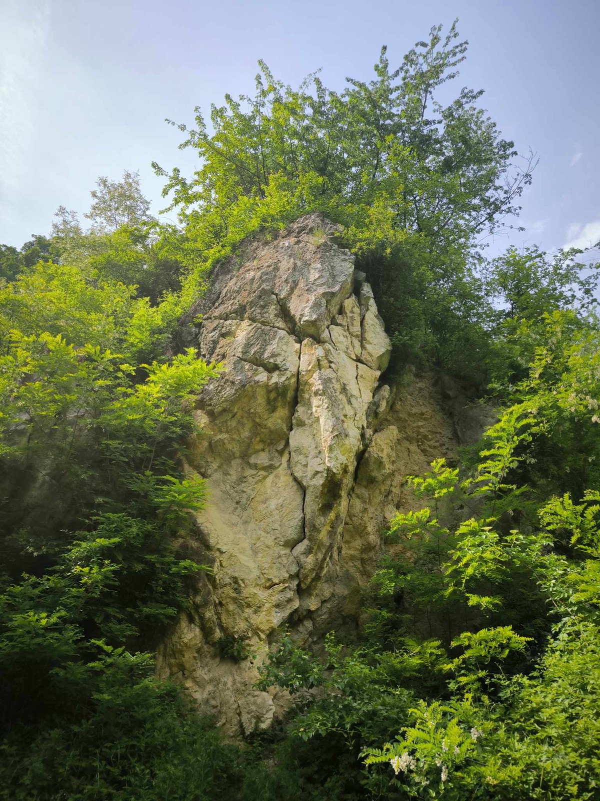 Kamenne srdce (4) sektor Netopier