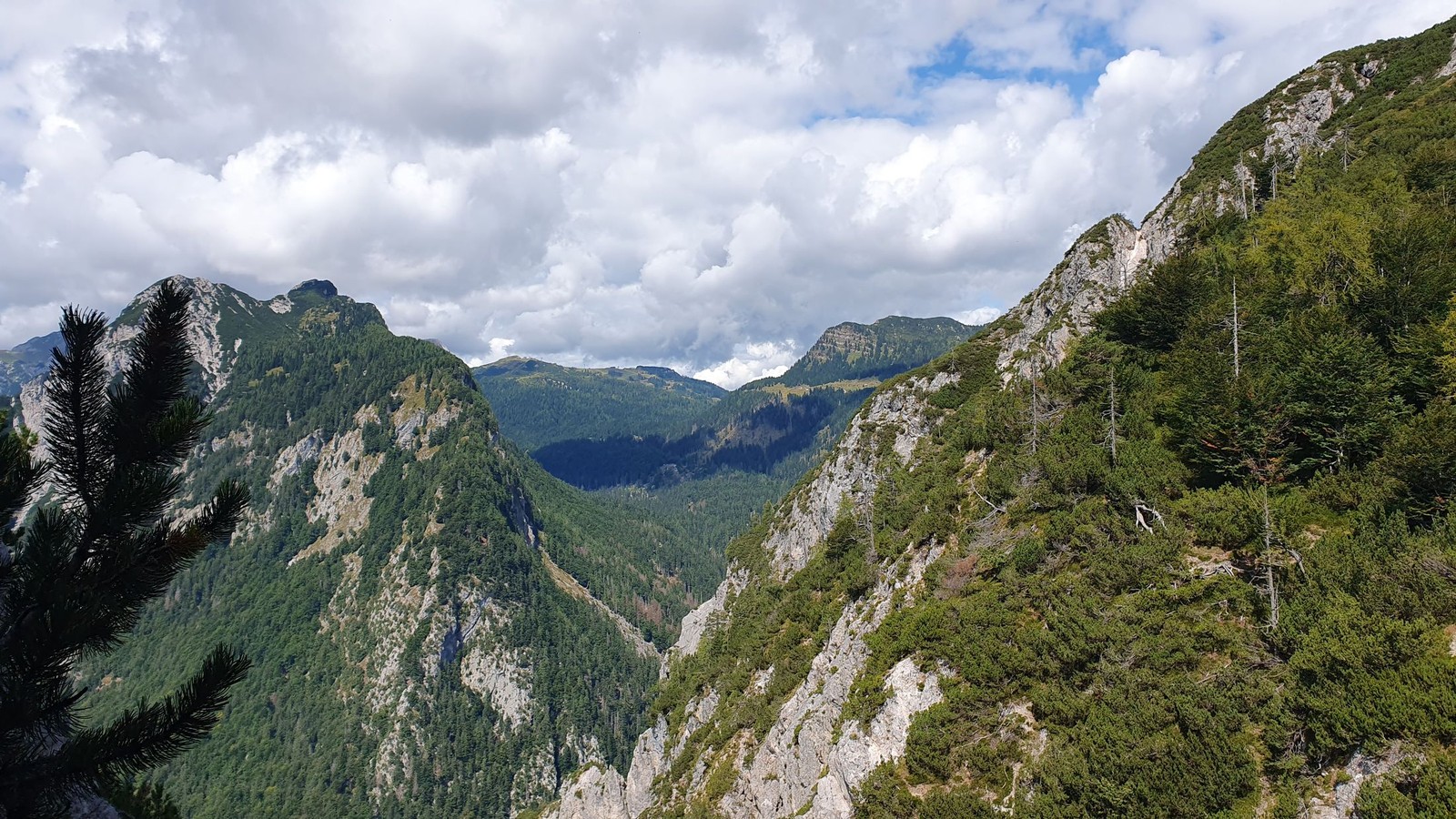 Bepi della Schiava (11)