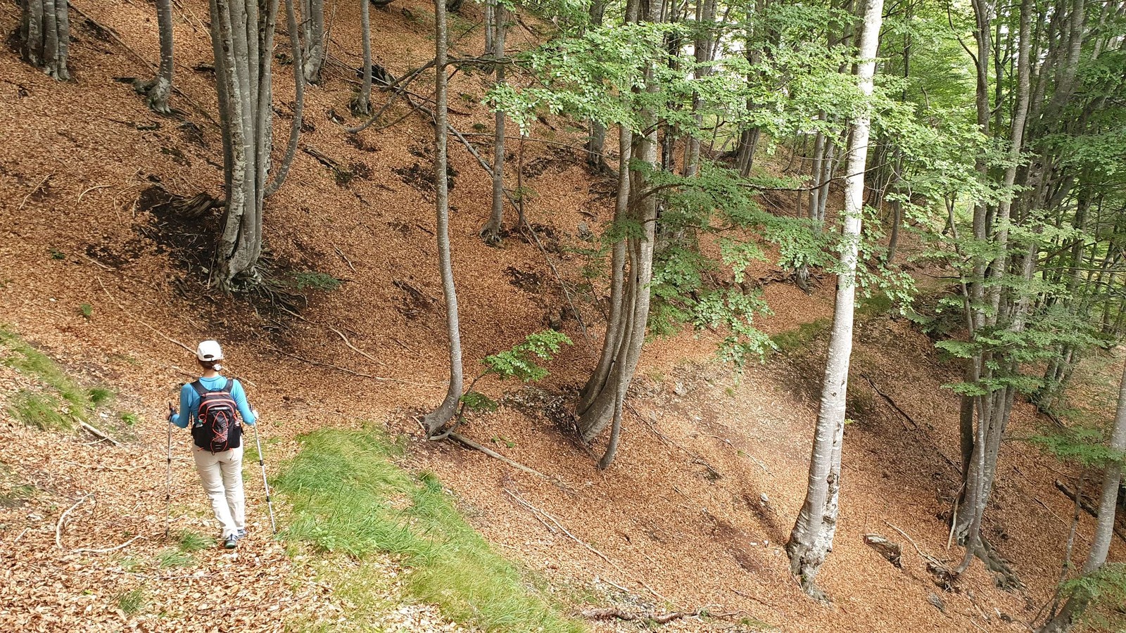 Bepi della Schiava (19) Oddychový úsek v krásnom lese
