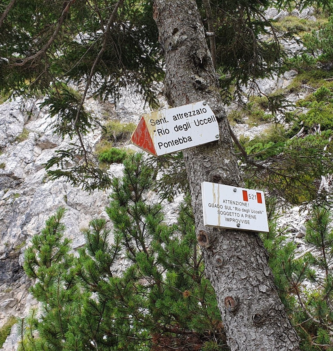 Bepi della Schiava (25)