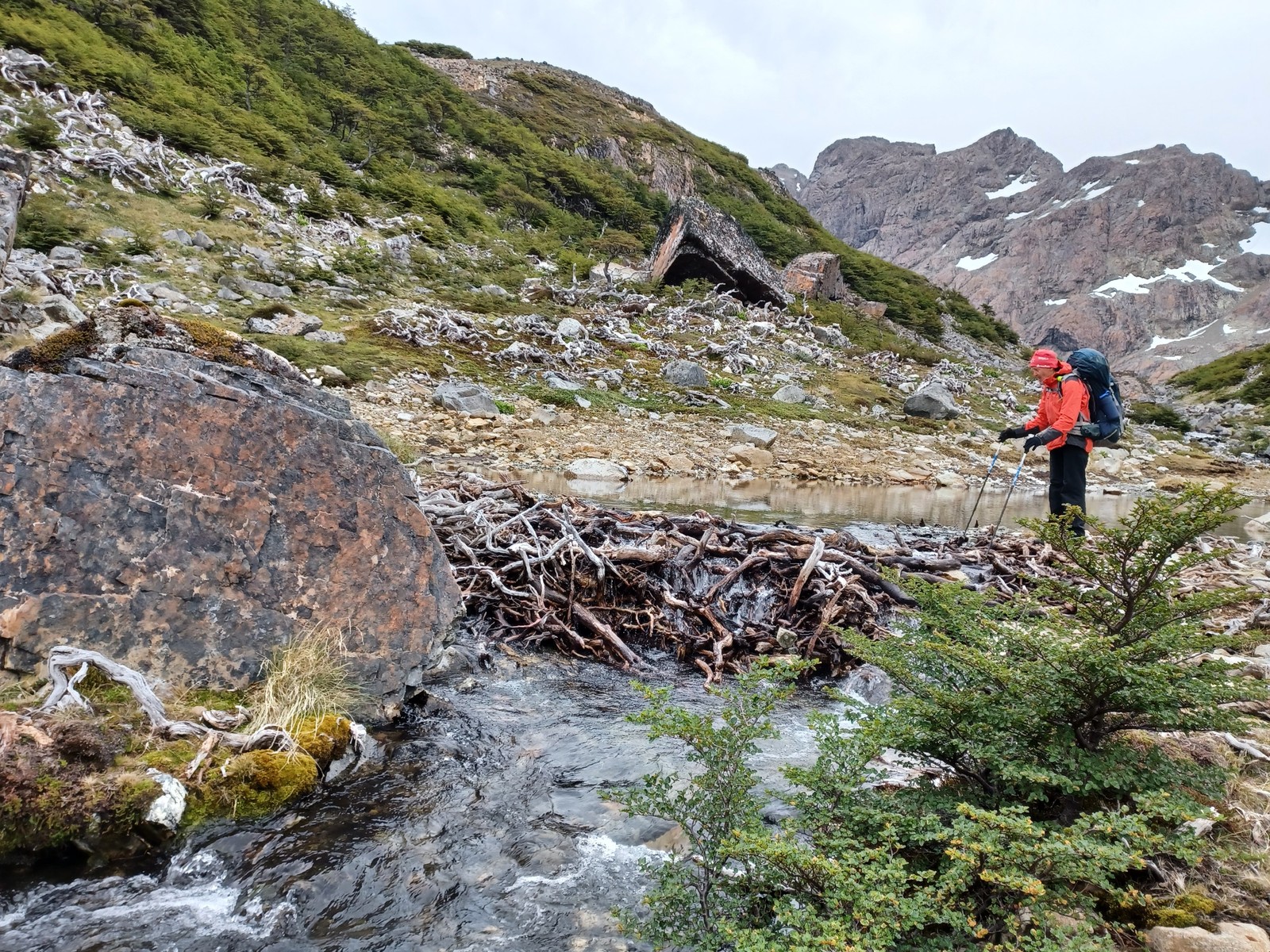 13 Z treku Dientes Navarino
