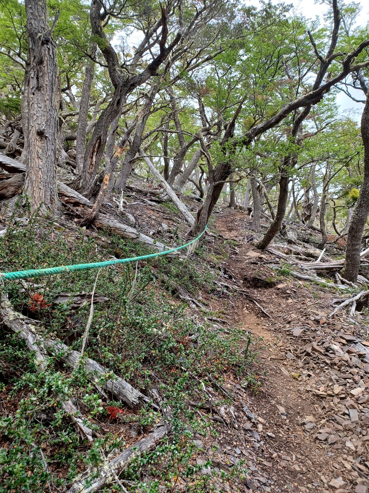 33 Cesta na Cerro Carancha