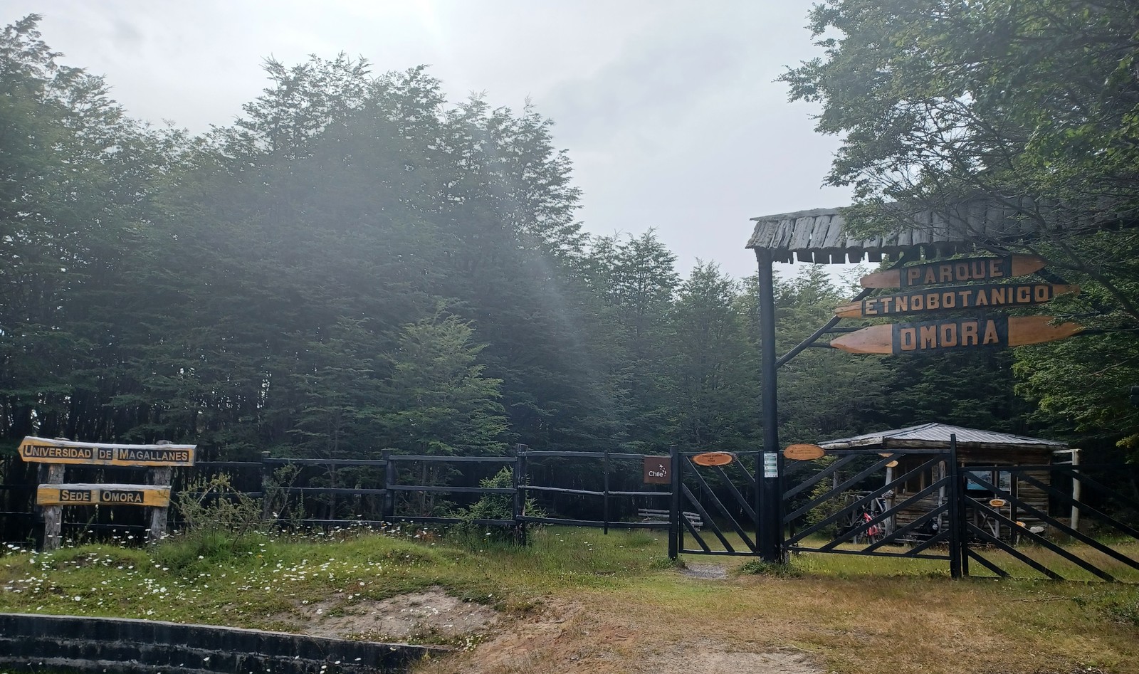 35 Omora