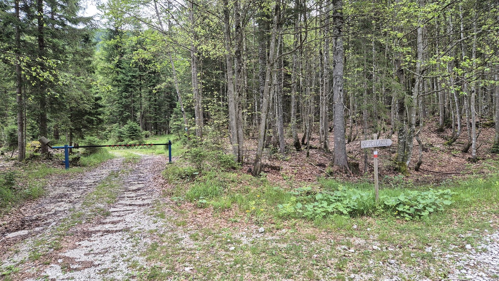 Cyklo Valle di Riofreddo (13) Odbočka na chatu Pellarini vo Val Saisera