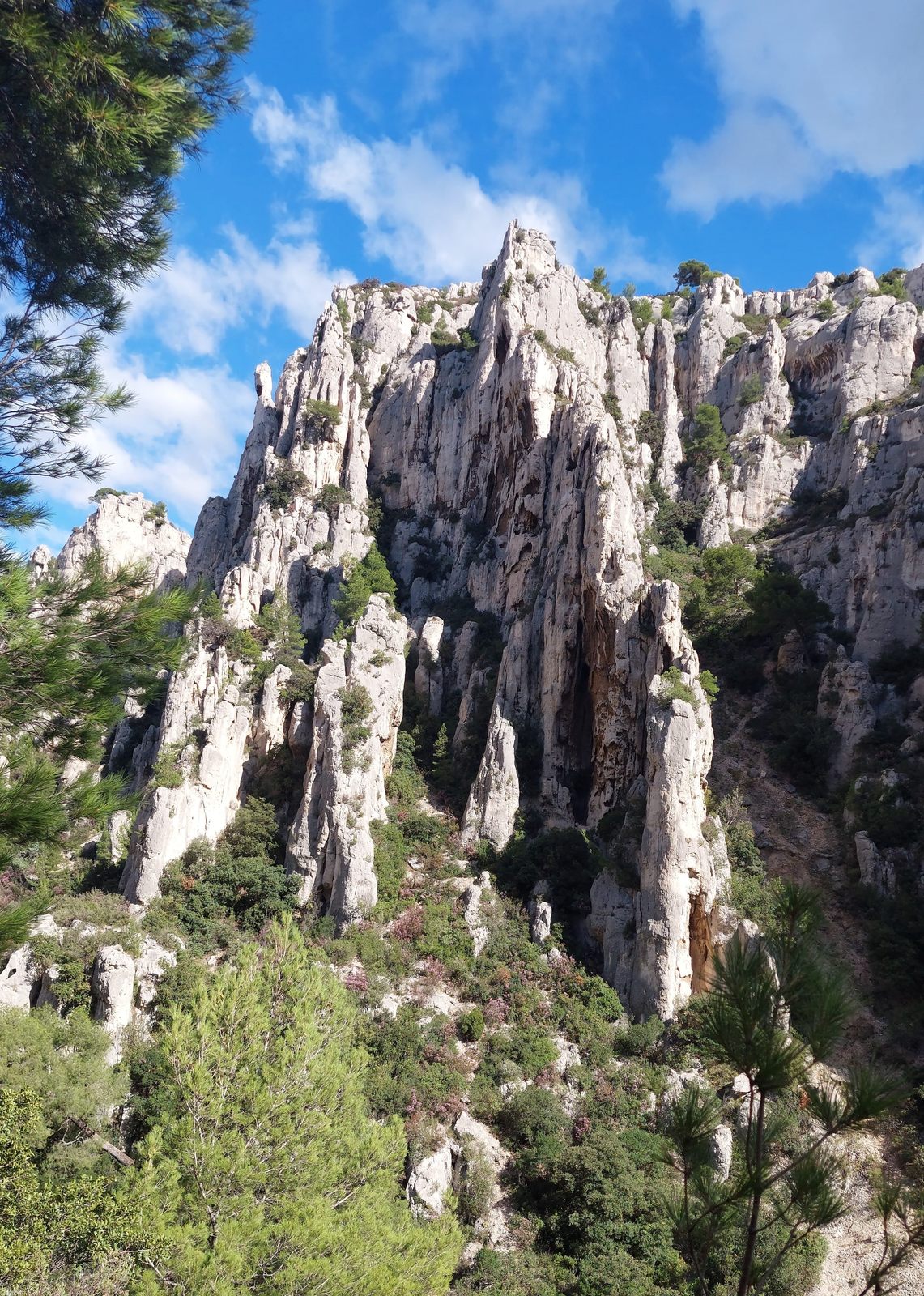 Calanque d En Vau (13)