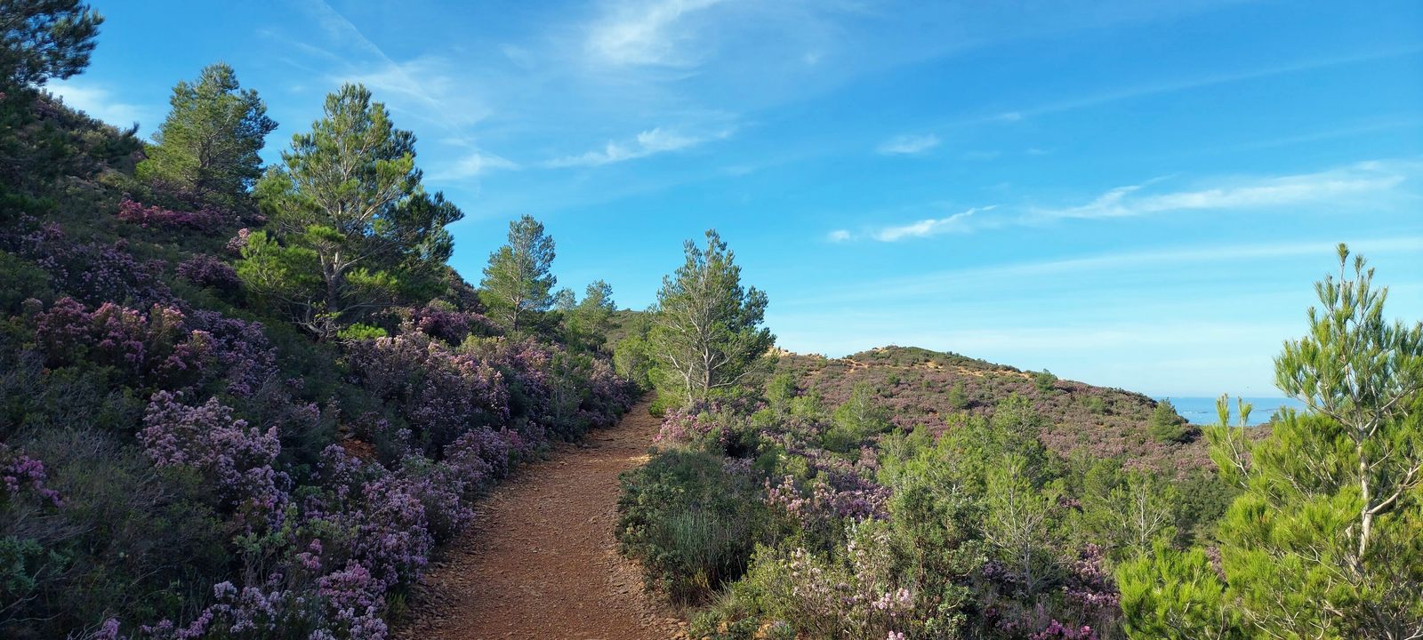 Cap Canaille (01)