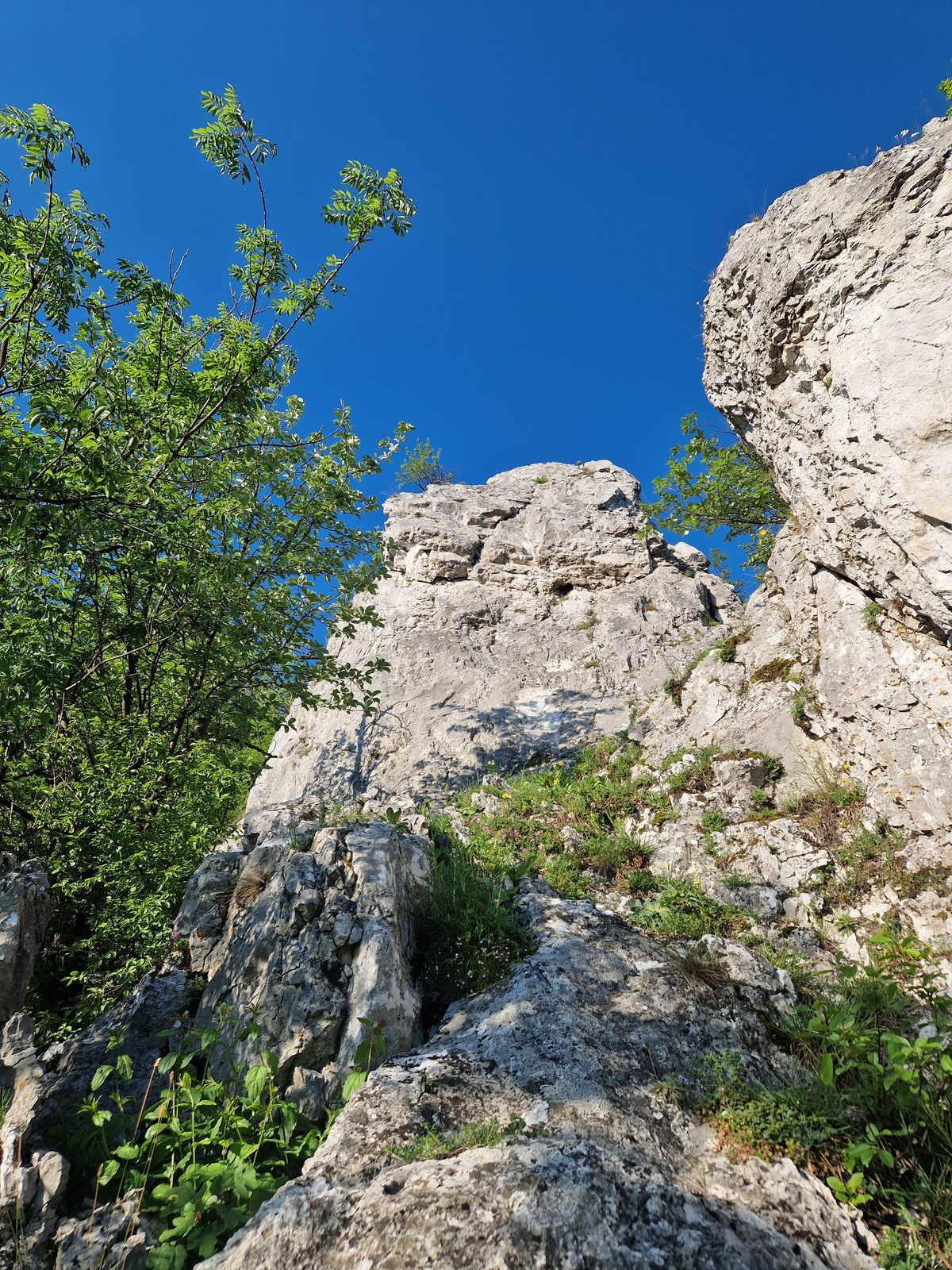 Hromové (12)