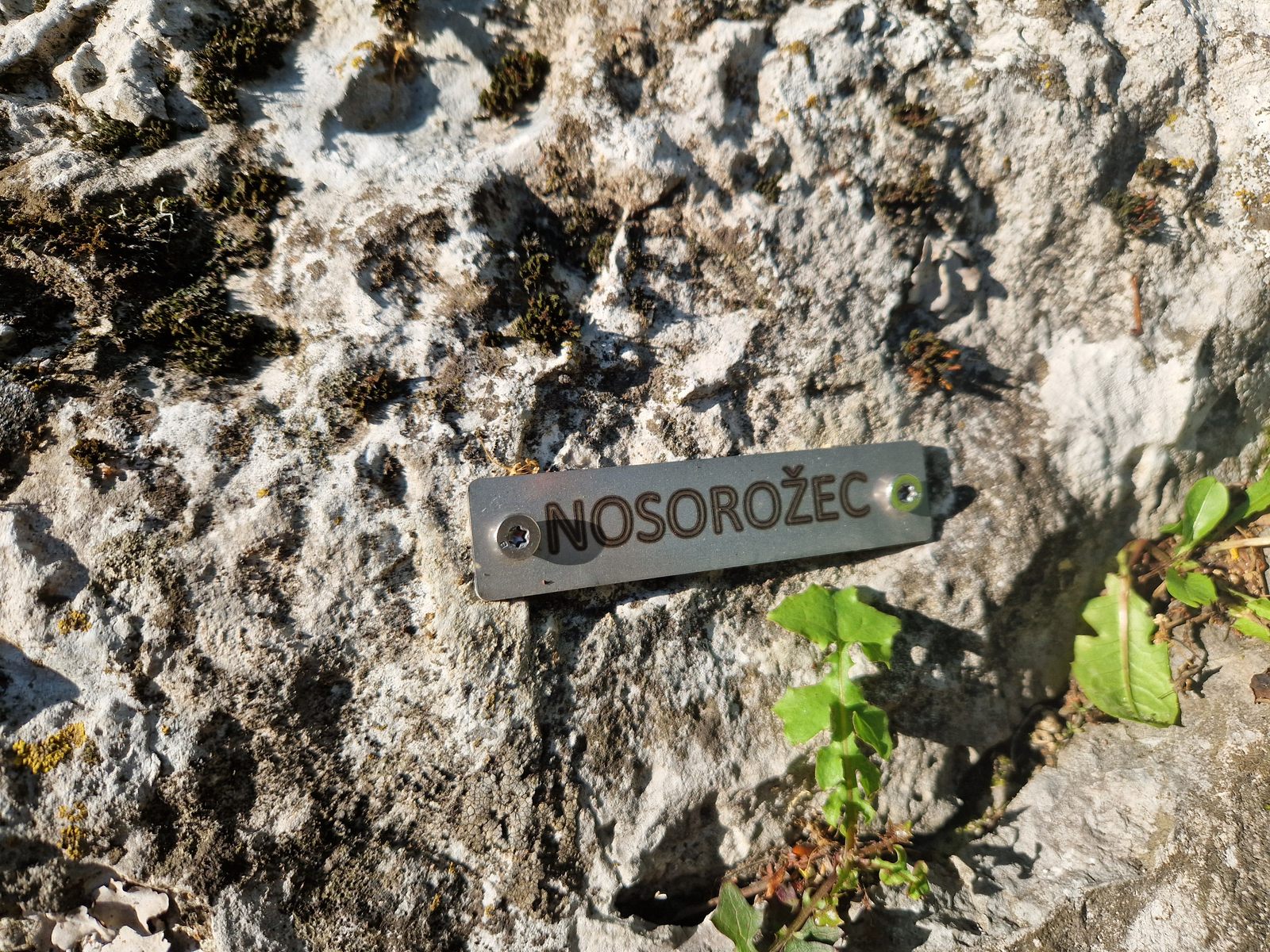 Hromové (16) označenie cesty