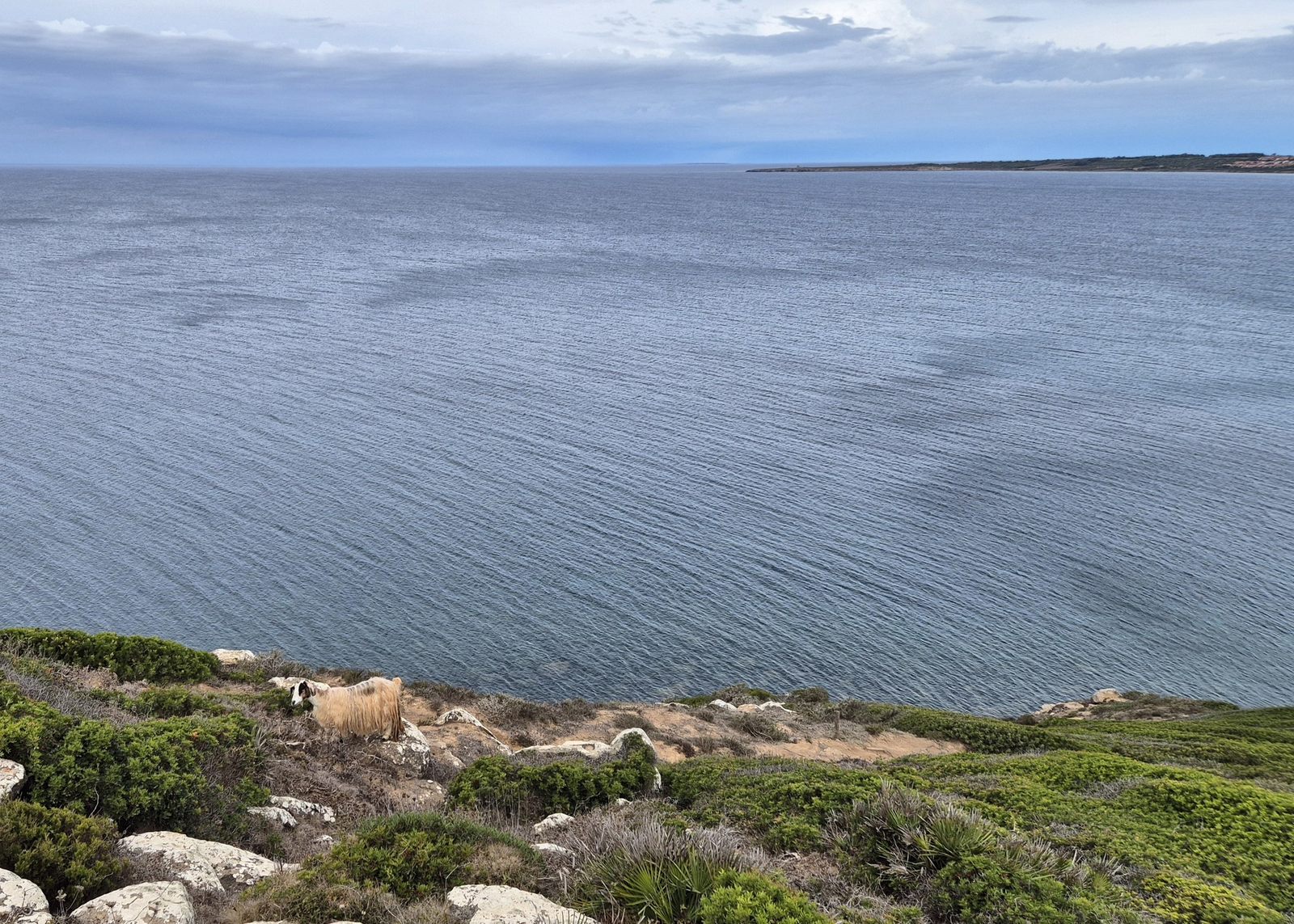 Capo San Marco na poloostrove Sinis, Sardinia (16)