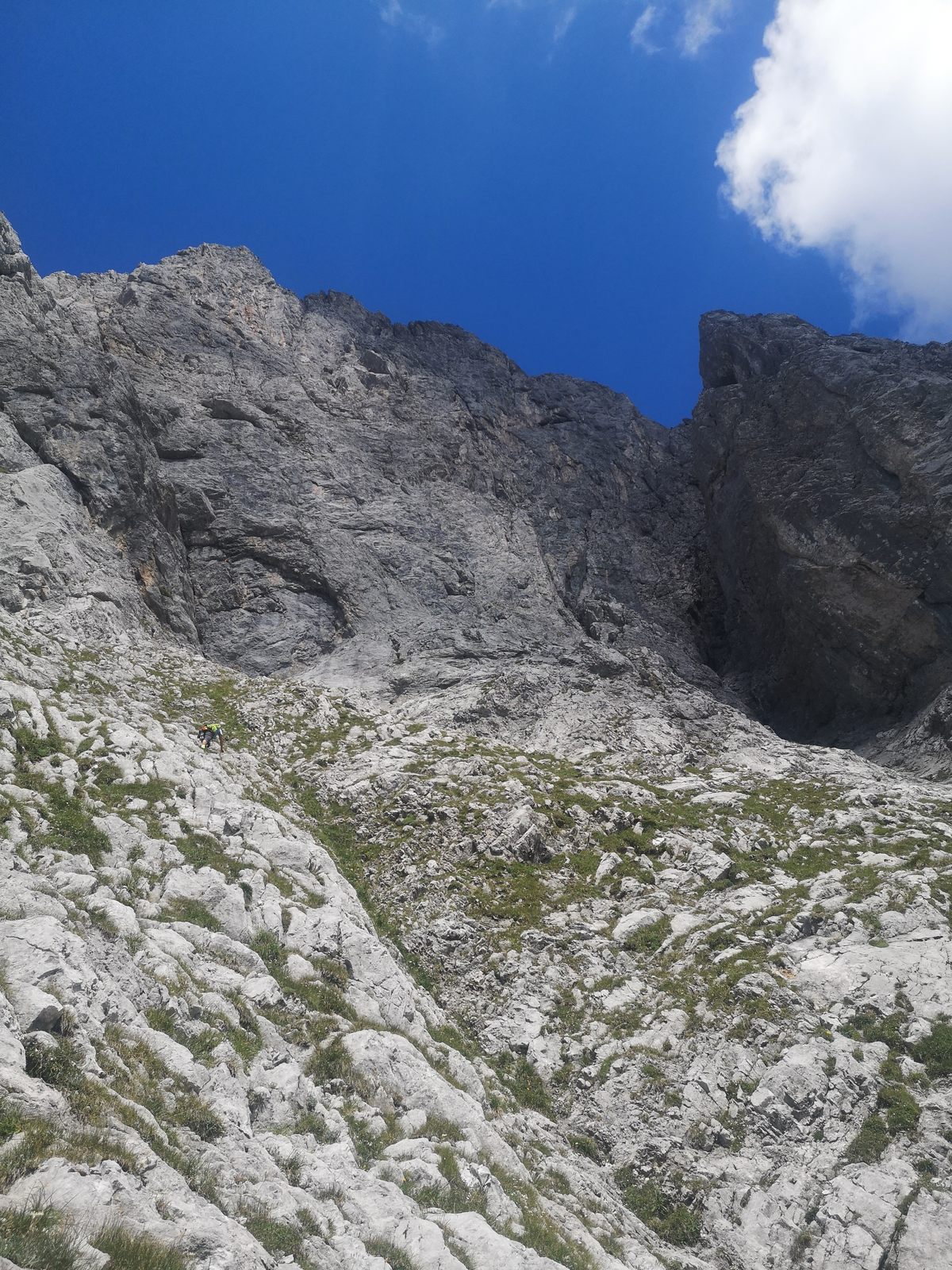 Kalbling (4) skalno travnatý nástup