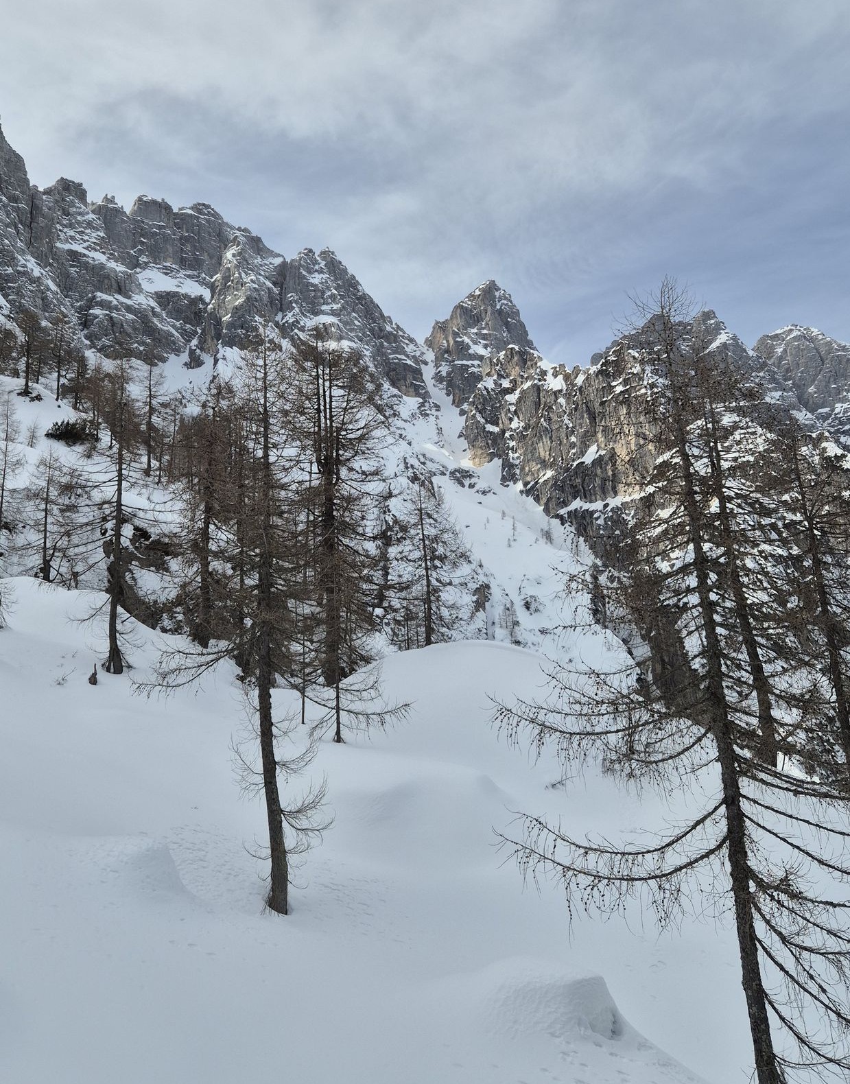 Skialp Montasio sever Forcella Mazzeni (12) Výhľad pomedzi stromy do Canalone Huda Palizza