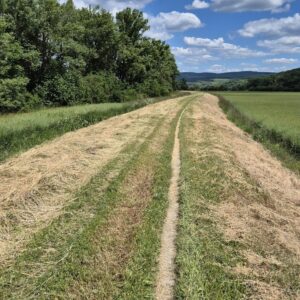 Cyklo Hlohovec Piešťany (08)