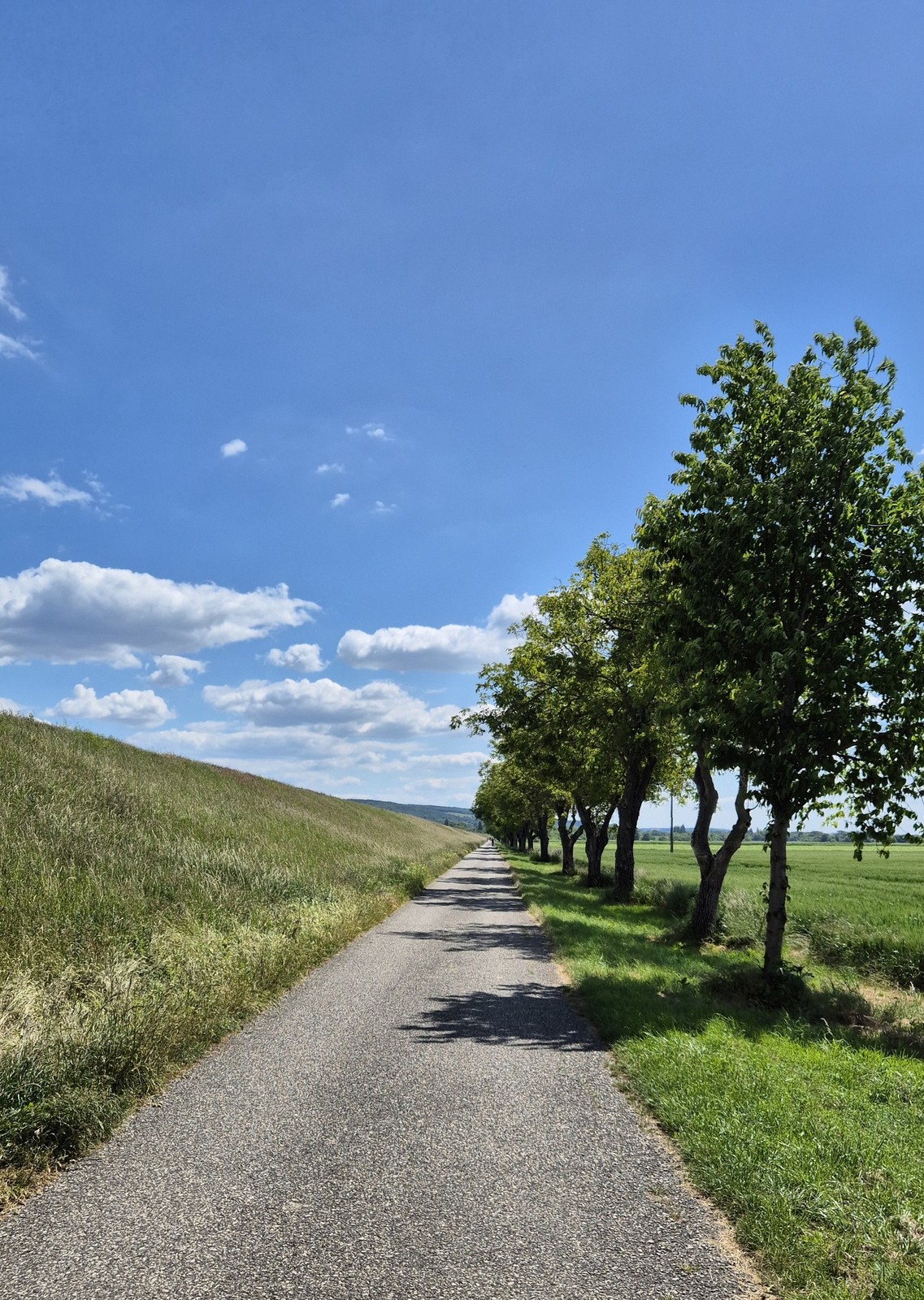 Cyklo Hlohovec Piešťany (15)