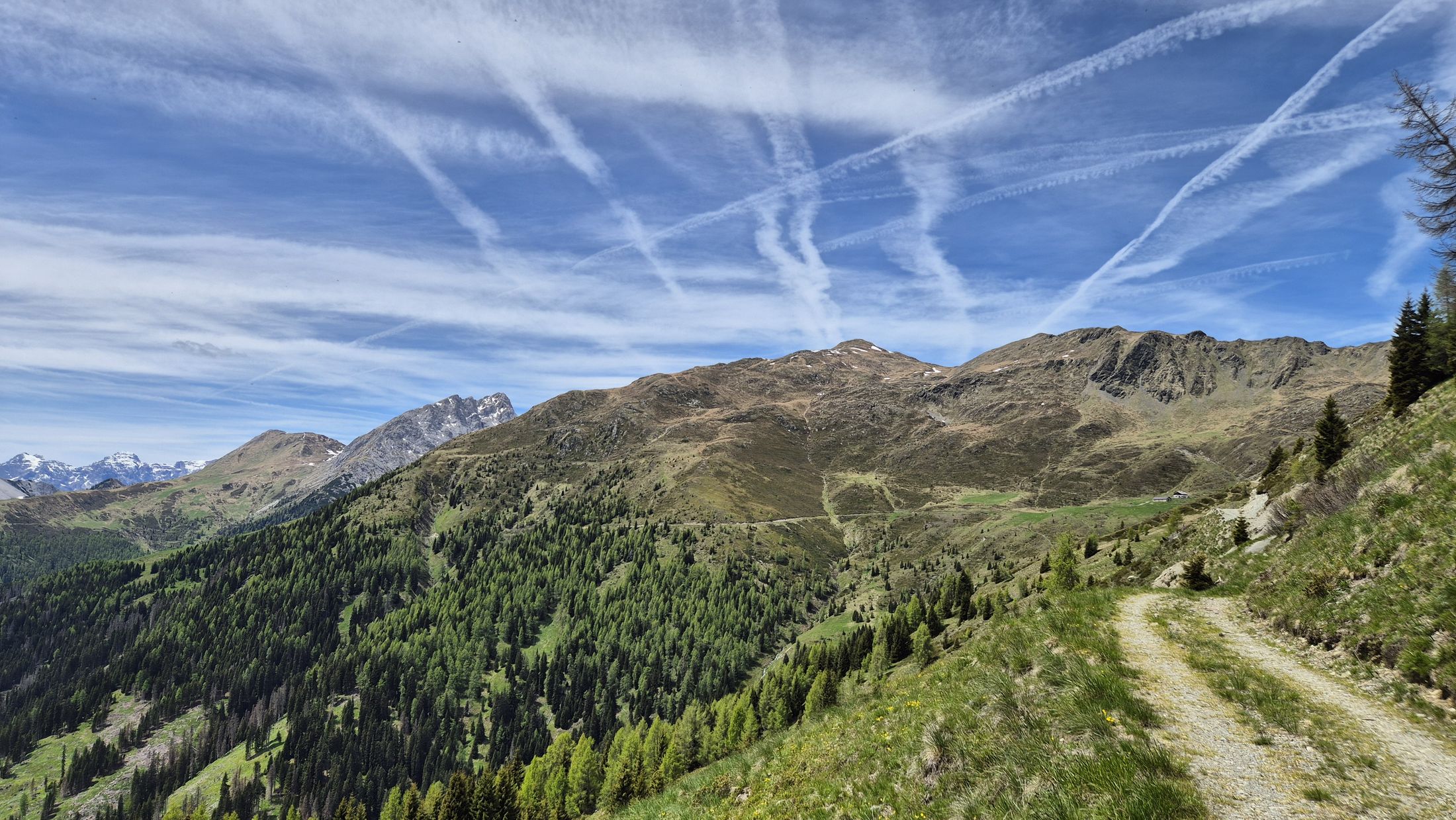 MTB Sappada (19)
