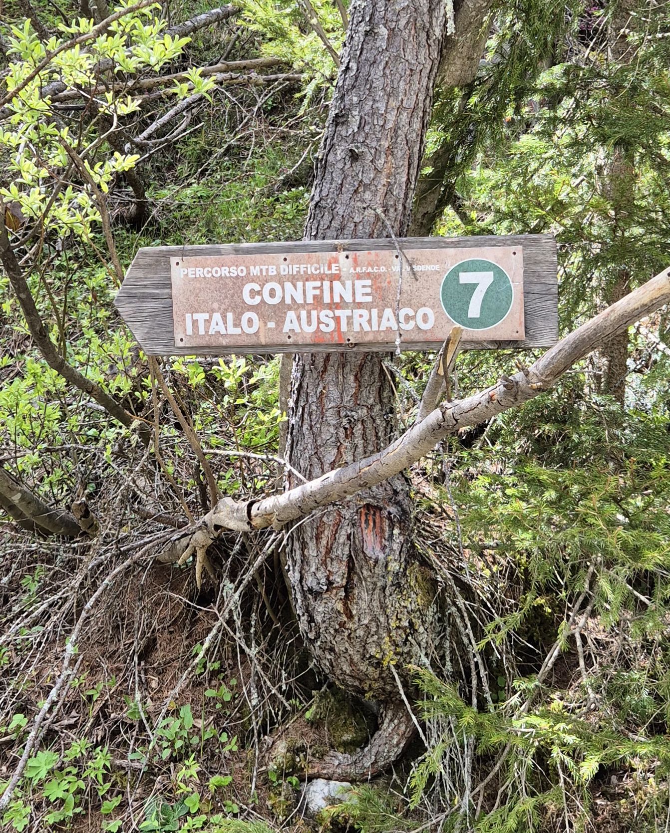MTB Sappada (25)