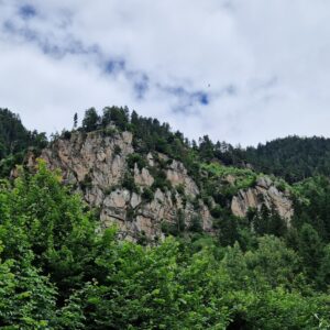 Seinerzeit (1) pohlad od parkoviska