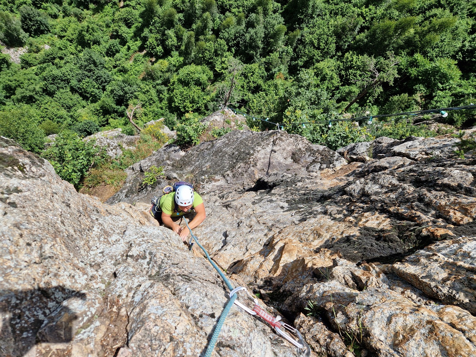 Seinerzeit (13) piata dlžka