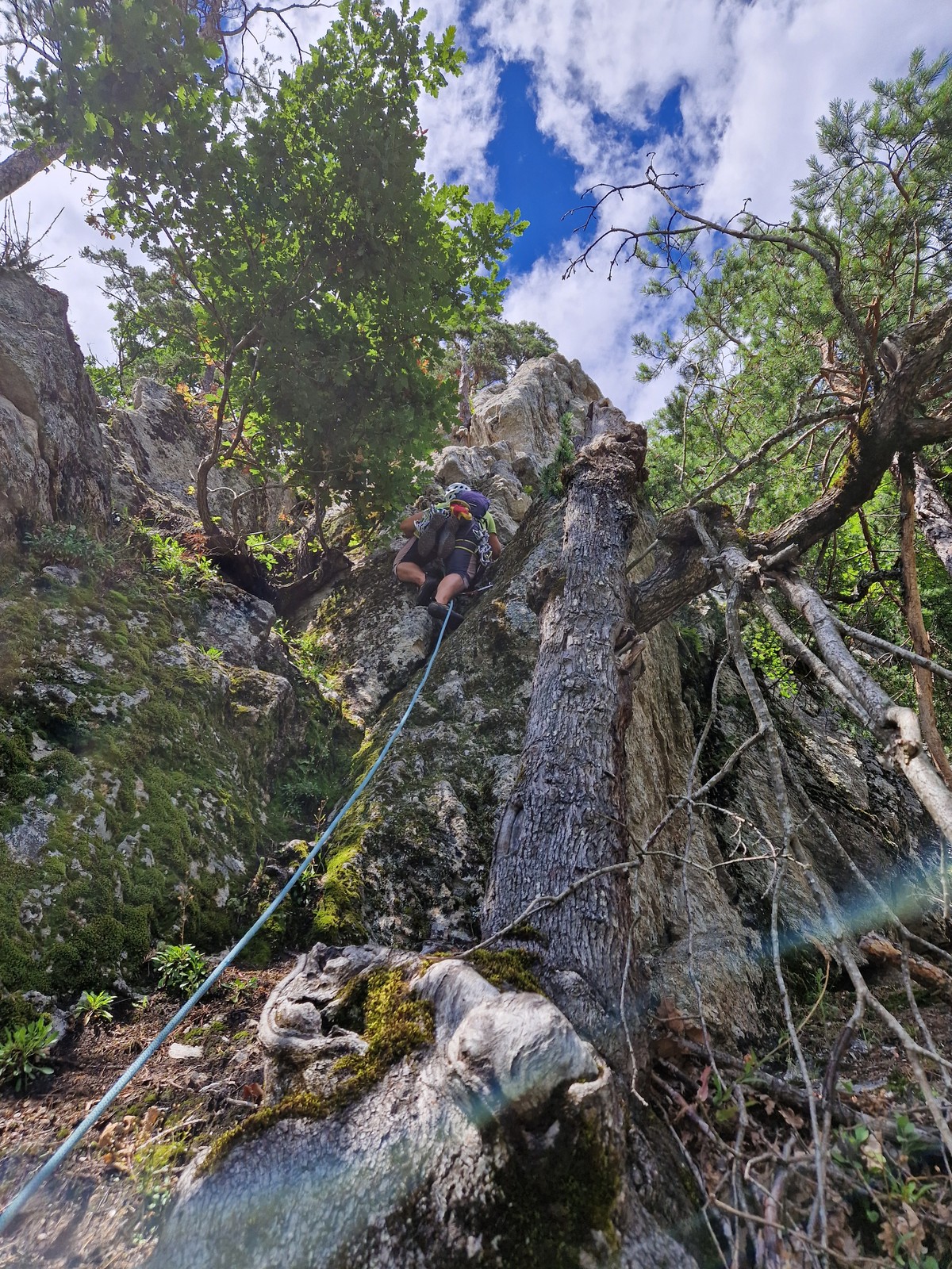 Seinerzeit (15) začiatok siedmej dĺžky je v zelenine