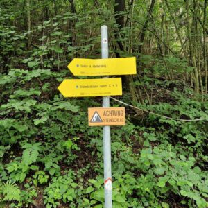 Seinerzeit (2) smerovník pod stenu