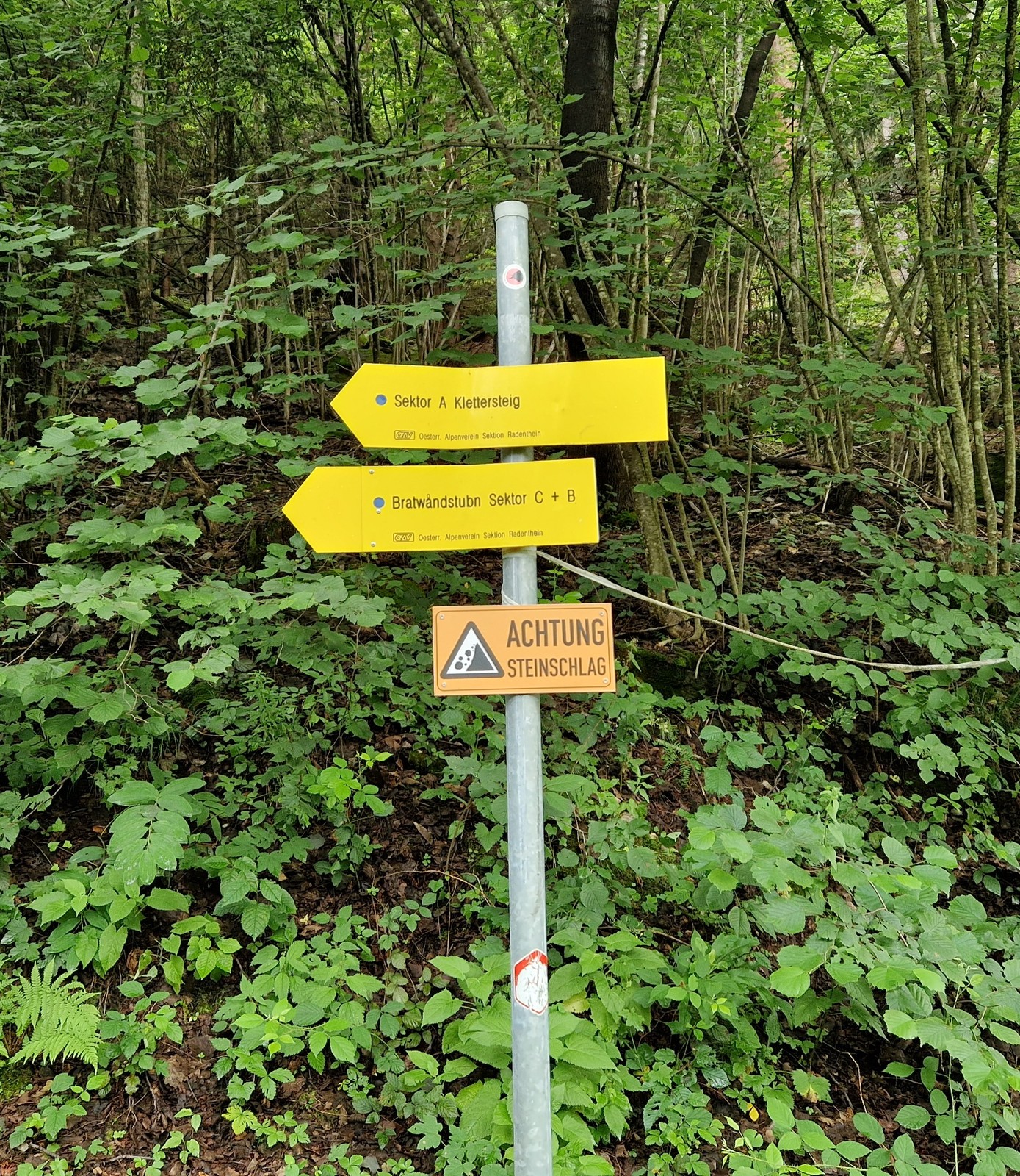 Seinerzeit (2) smerovník pod stenu