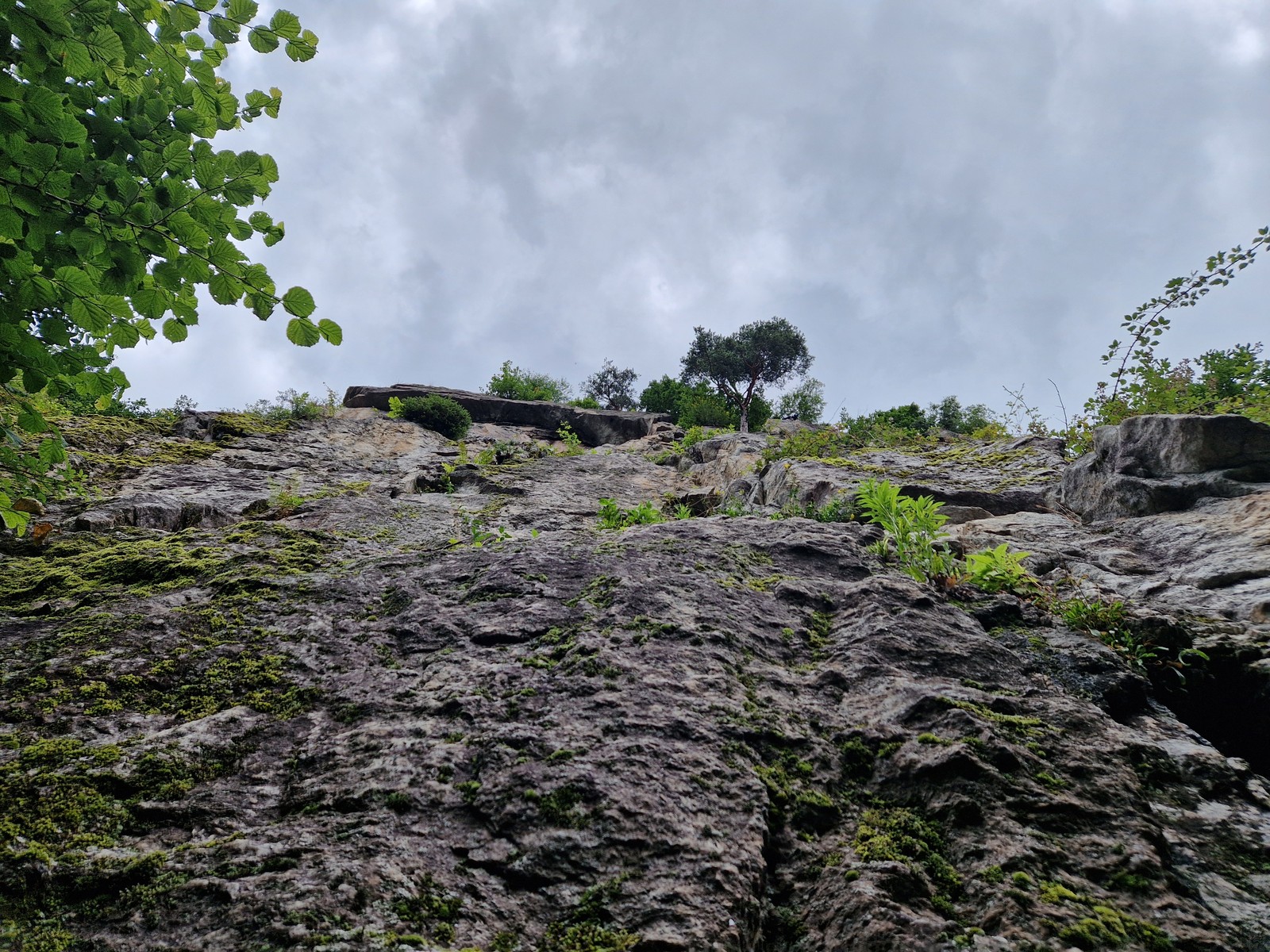 Seinerzeit (5) prvá dlžka