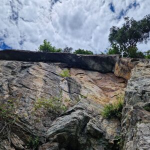 Seinerzeit (6) previs sa oblieza sprava